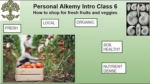Craig Lane Personal Cooking Alkemy - The Most Important and EASY TO MAKE Probiotic Drinks