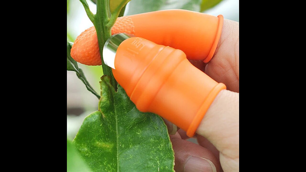 Finger Cots Protectors with Cutting Blade, for Cutting Green Onion, Garlic, Ginger & More