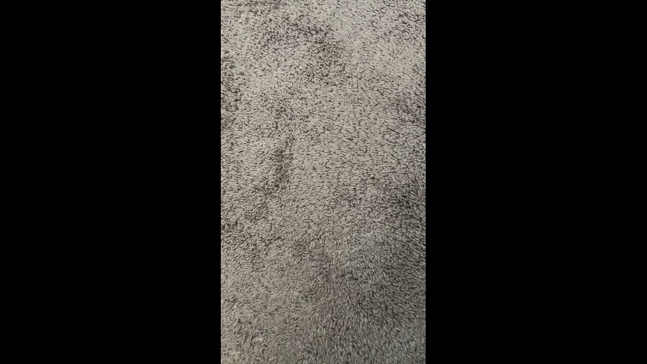 Test 2
