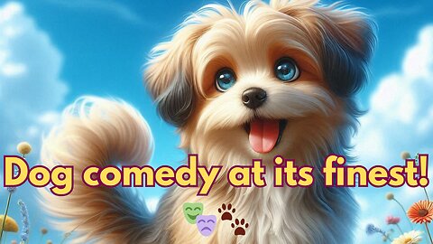 The funniest dogs you'll see today!