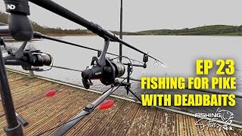 Ep23 | Deadbaiting For Pike - My Quest For Another Monster