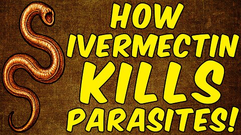 How Ivermectin Kills Parasites! - (Science Based)
