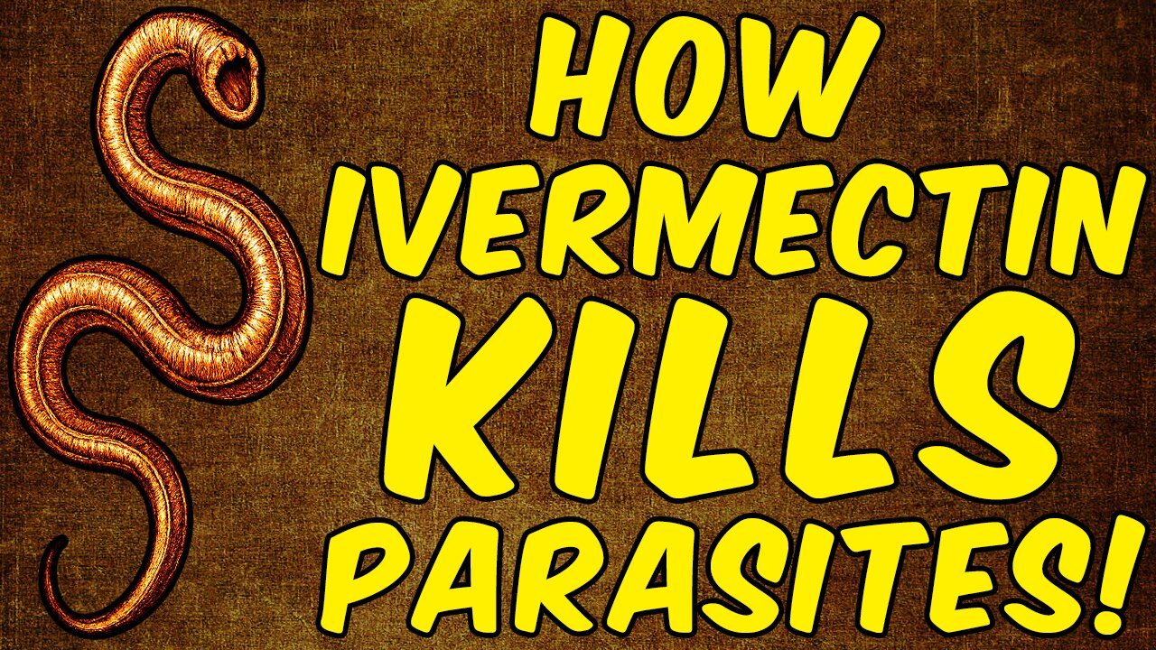 How Ivermectin Kills Parasites! - (Science Based)
