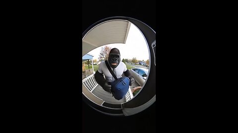 ro, listen to the gorilla. #fyp #viral #trending #funnyvideos #funny