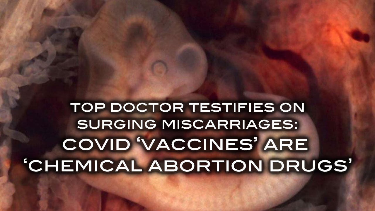 Top Doctor Testified on Surging Miscarriages: Covid 'Vaccines' Are 'Chemical Abortion Drugs'