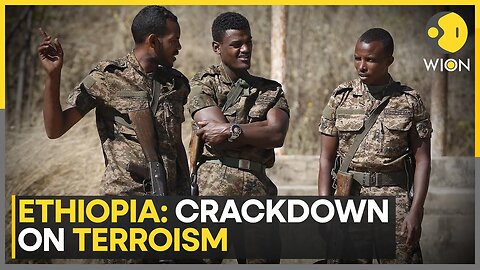 Ethiopia: 82 Somalia Affiliate Operatives Arrested | World News| WION
