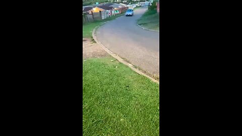 South Africa is doomed