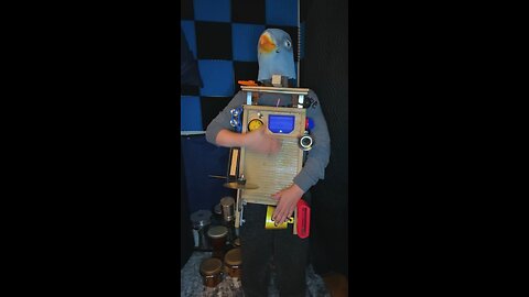 The pigeon and the cowbell