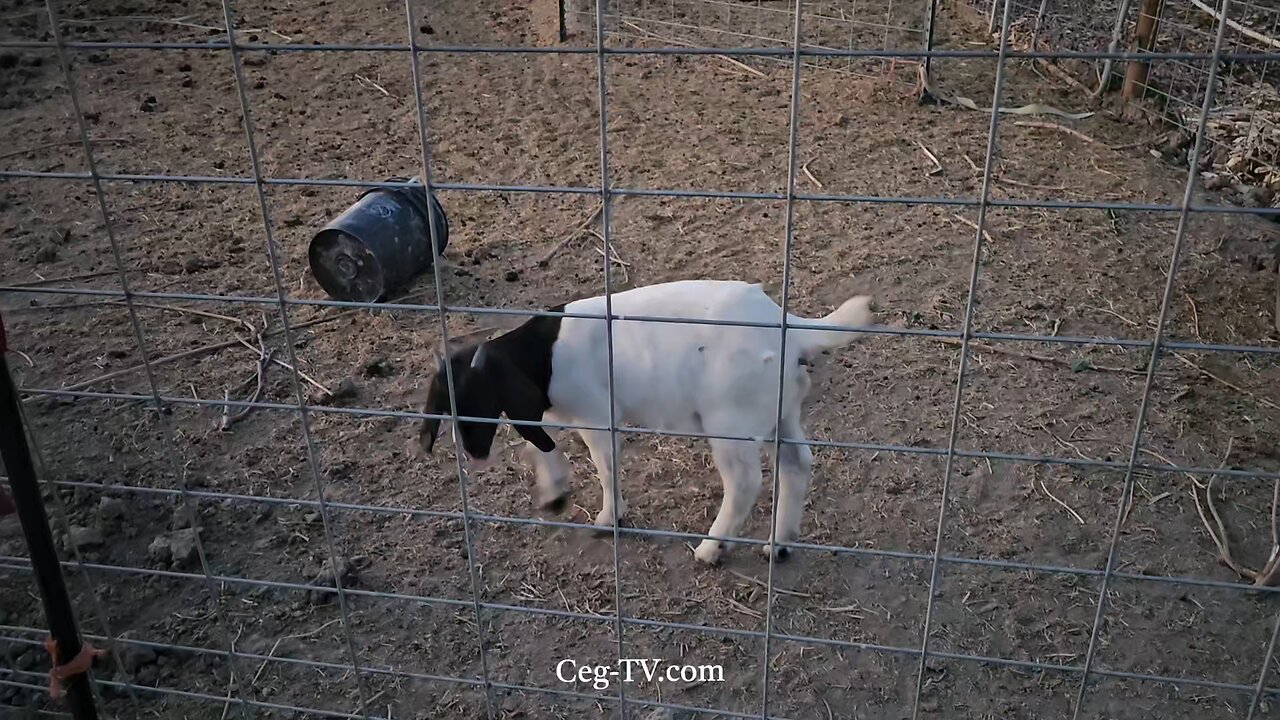 Graham Family Farm NW: 8:25 PM August 21 2025
