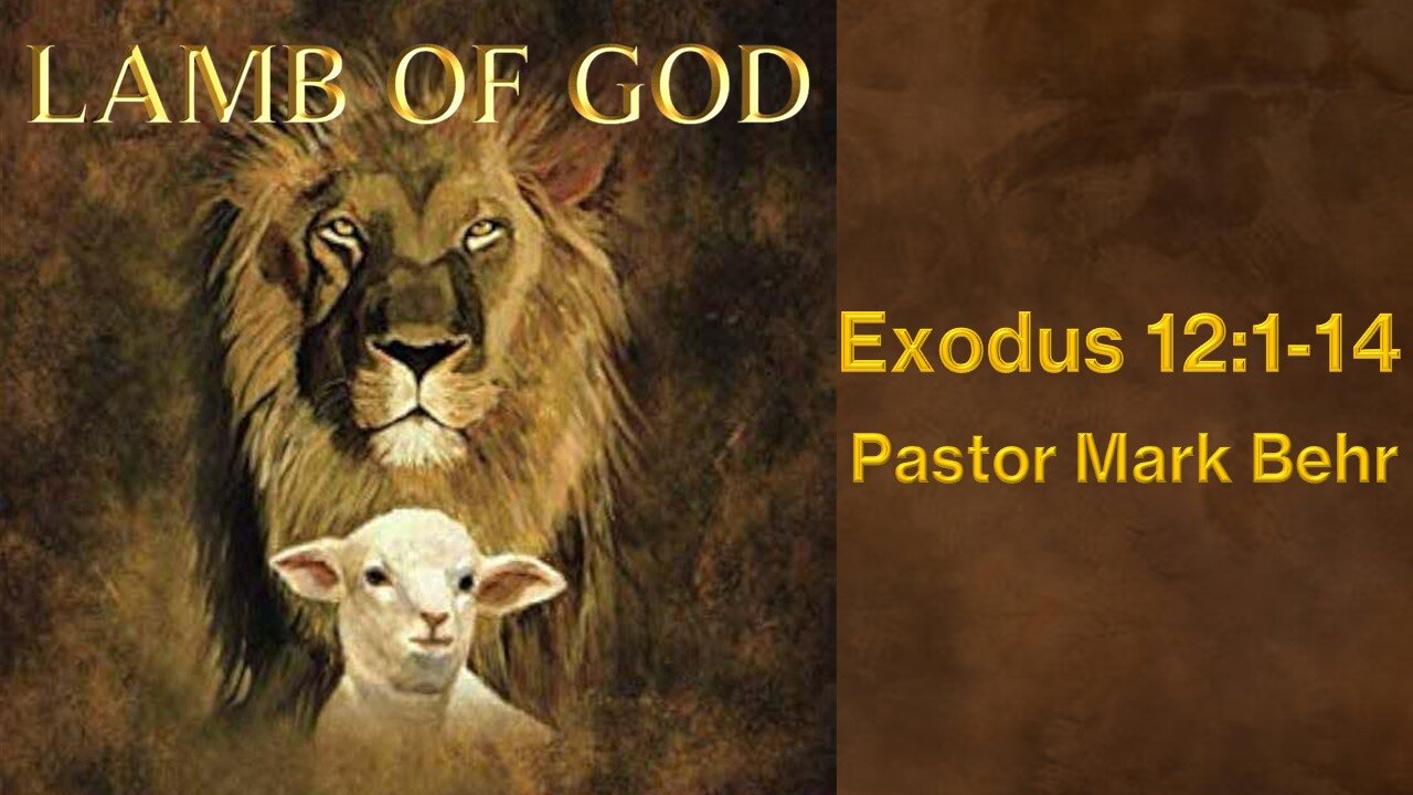 “Lamb of God" by Pastor Mark Behr