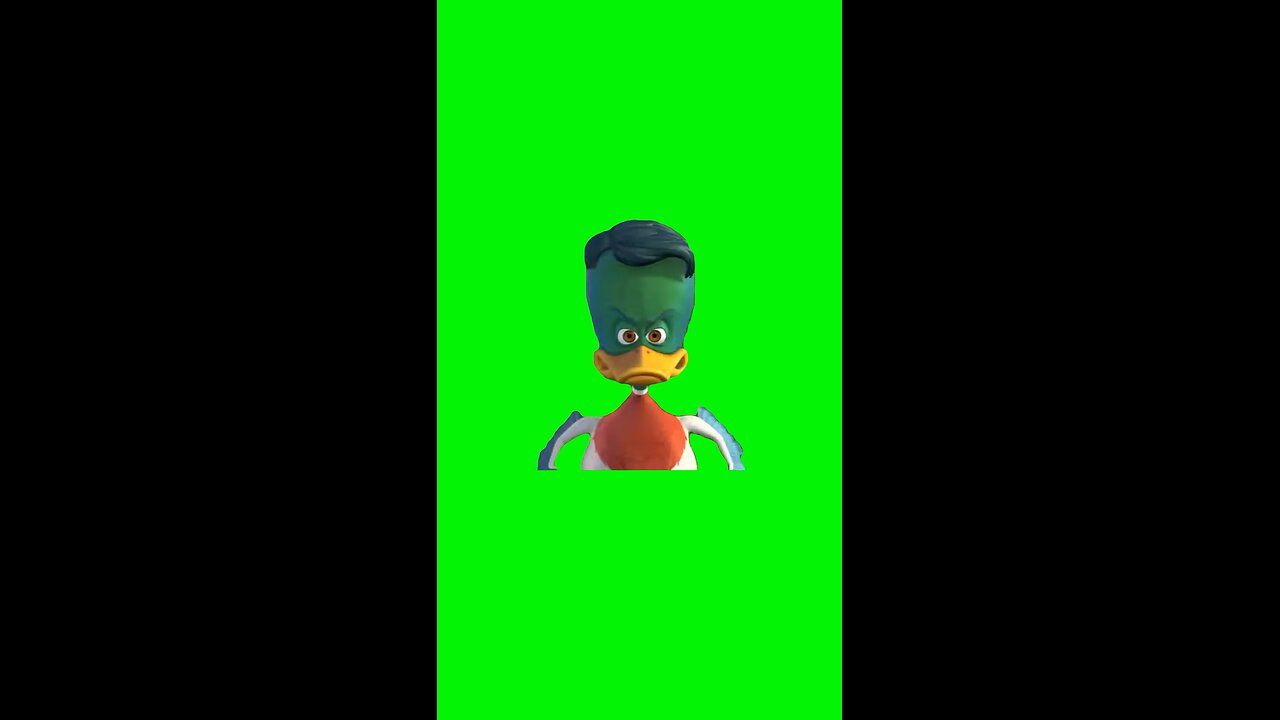 Barnyard Angry Duck | Green Screen