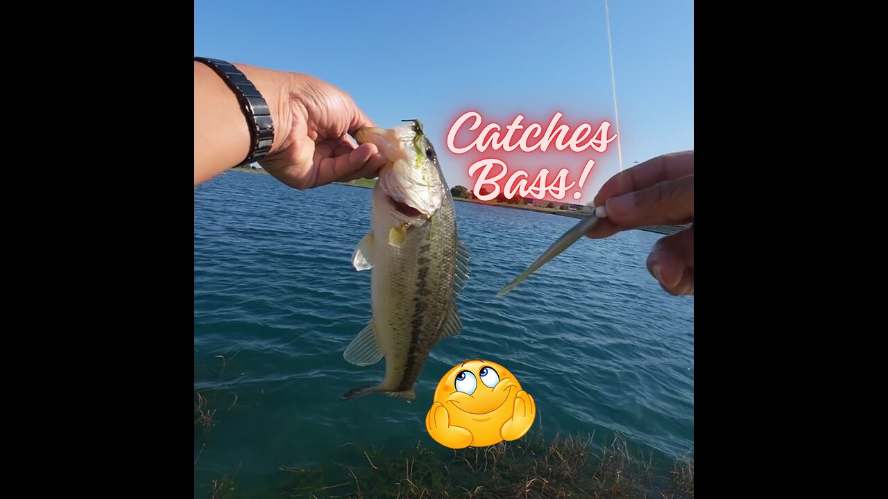 Liking My Ultralight Baitcasting Combo for Bass #bassfishing #ultralightfishing #bfsfishing