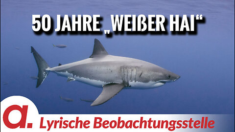 50 Jahre „weißer Hai“ | Von Paul Clemente