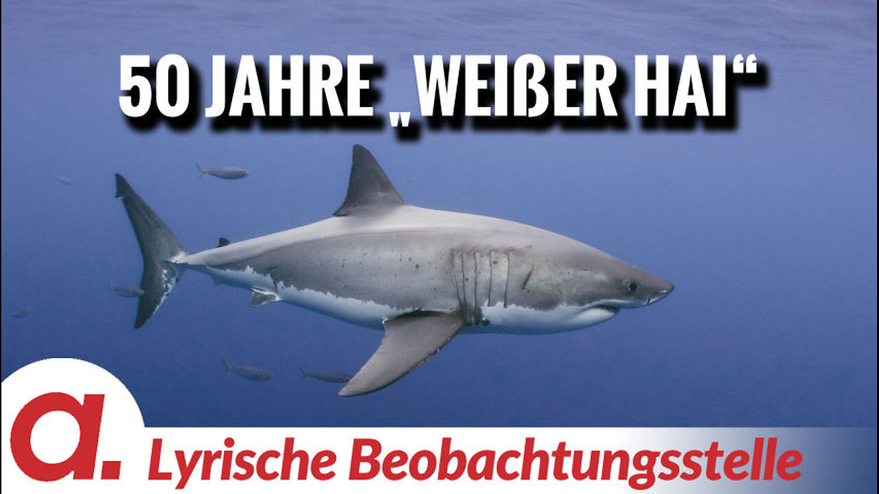 50 Jahre „weißer Hai“ | Von Paul Clemente