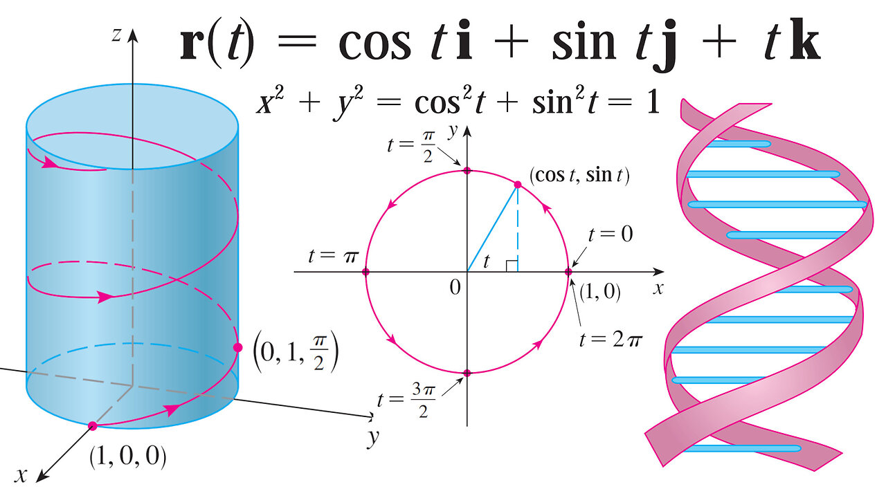 Plane Curves as Vector Functions and the Structure of a DNA Helix