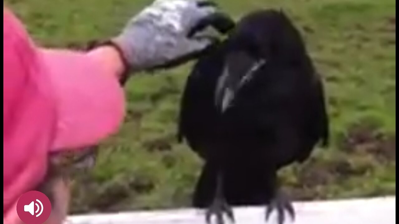 THE THRONE OF GRACE - DAILY DEVOTIONAL ❤️