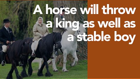 Queen Elizabeth and the horses we have lost