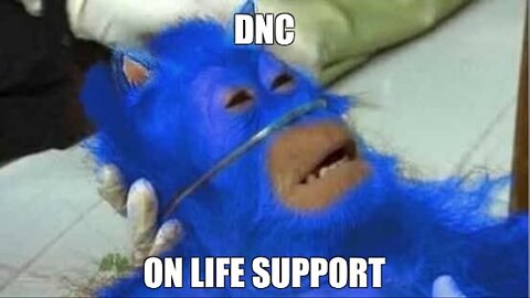 24 Oct 2025 Weekly News Report: THE DNC DYING, ANTIFA TERROR ORG, NO KINGS FAILURE!
