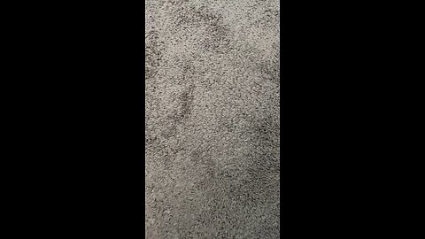 Test 3