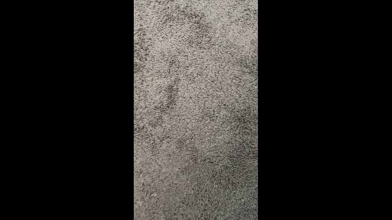 Test 3