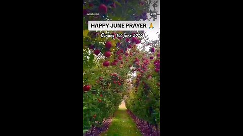 Best June Ever 🤗