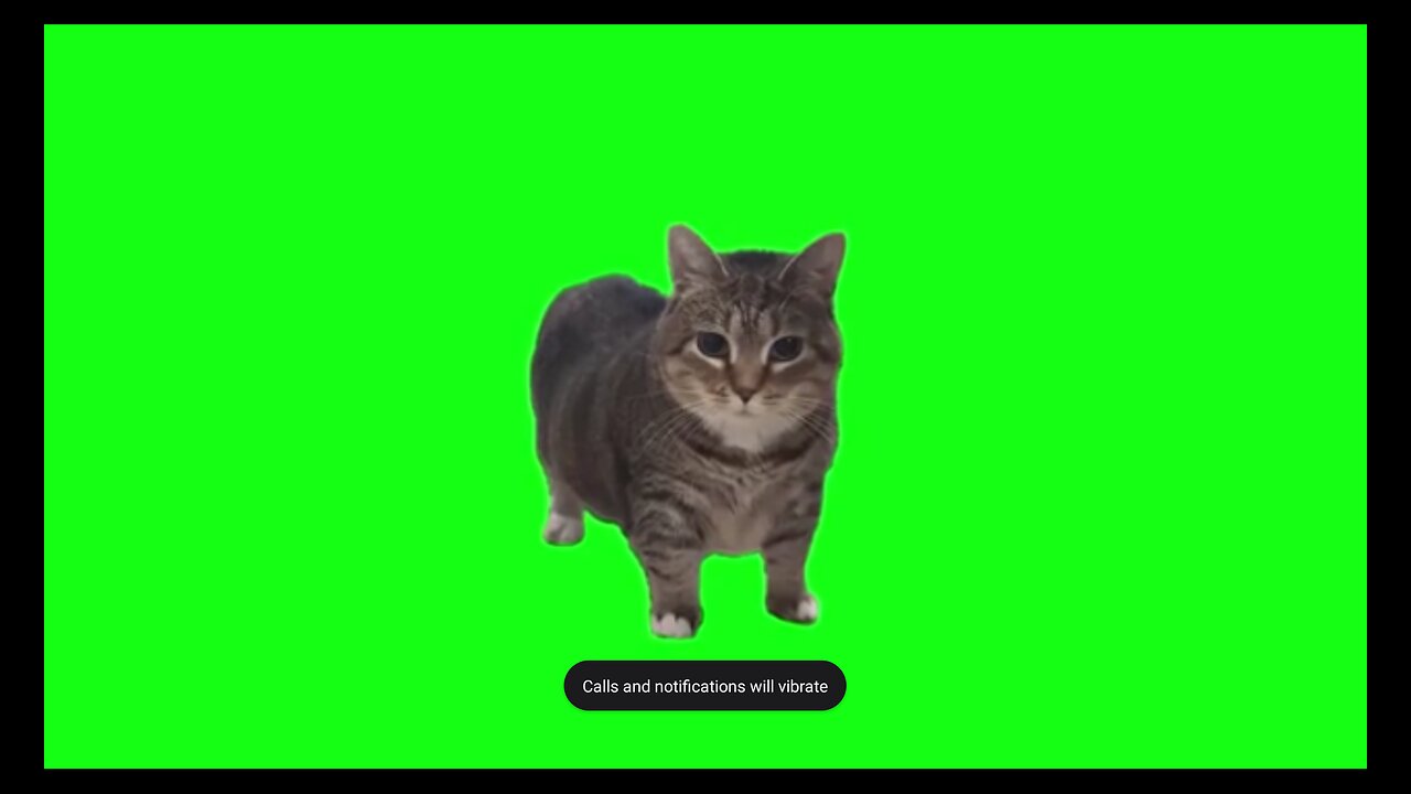 W&W -OllA_OllA😹🐈
