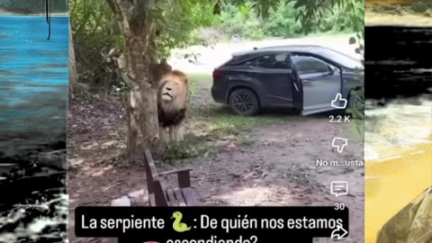 Just shorts videos - Follow 😜😋!!!!!!!