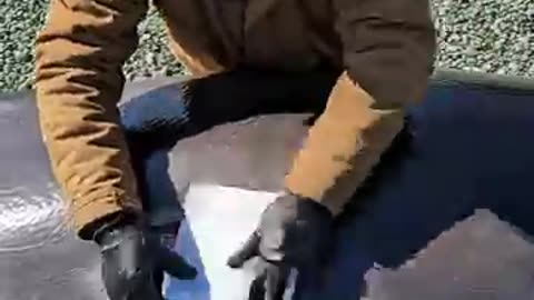 Shocking: Passerby Rushes To Save Stranded Whales! #rescue #animals #wildlife