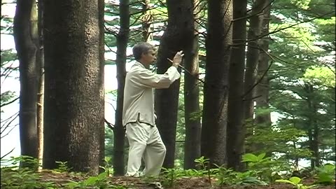 Yang Style Tai Chi History