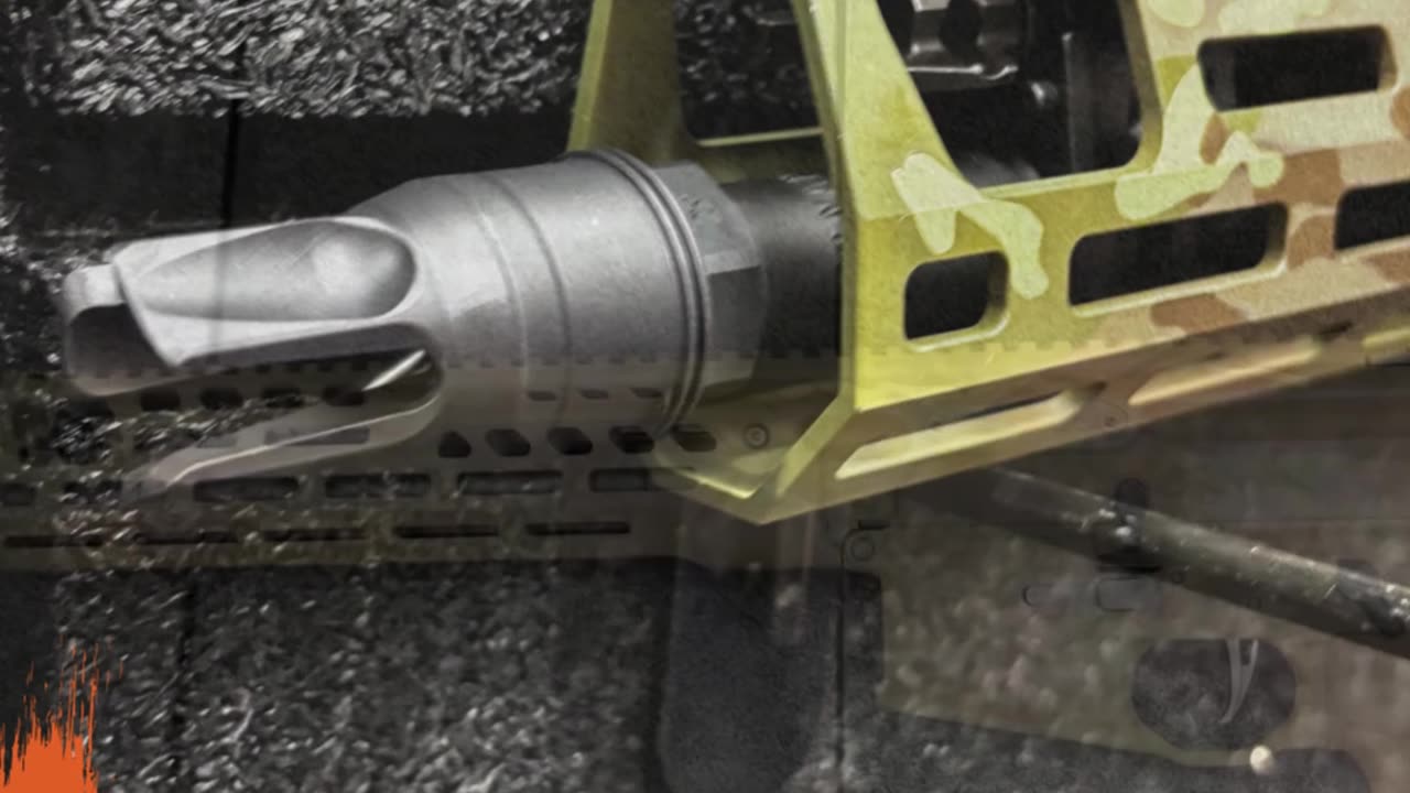 Built to Dominate: The Sig MCX Spear LT Custom 5.56