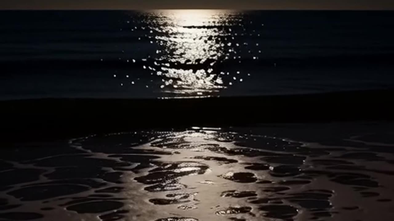 The Moonlit Tide, AI Video