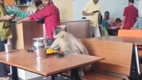 😱🇮🇳 Think You Can Handle India? Not For Beginners! | FunFM