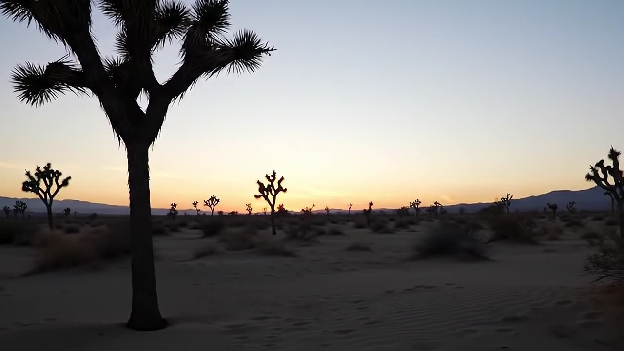 Desert Sunset B Roll