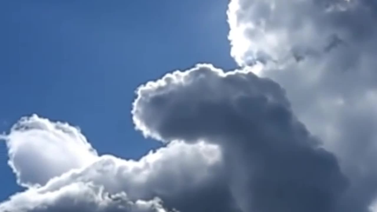 Winnie the Pooh Cloud bear