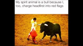 11525 Funny Laugh Out Loud Hilarious Memes Jokes Cartoons