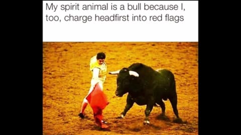 11525 Funny Laugh Out Loud Hilarious Memes Jokes Cartoons