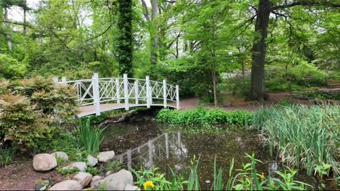 Sayen Botanical Gardens, 4K Spring Flowers Photographer's Stroll, Pictures to Art Short #flowers