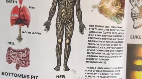 You are in hell if you don’t understand that your spine is the stairway to heaven