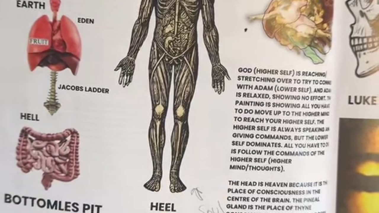 You are in hell if you don’t understand that your spine is the stairway to heaven
