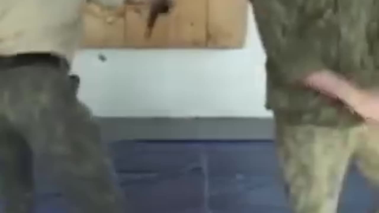 Bullshido