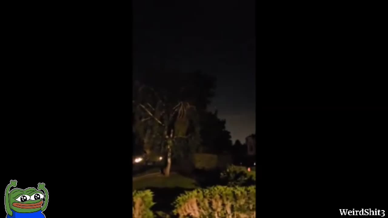 What happened to that tree? It probably decided to move to another neighborhood