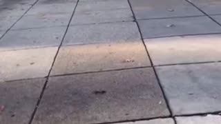 Another angle of yesterday's national guard shooting.