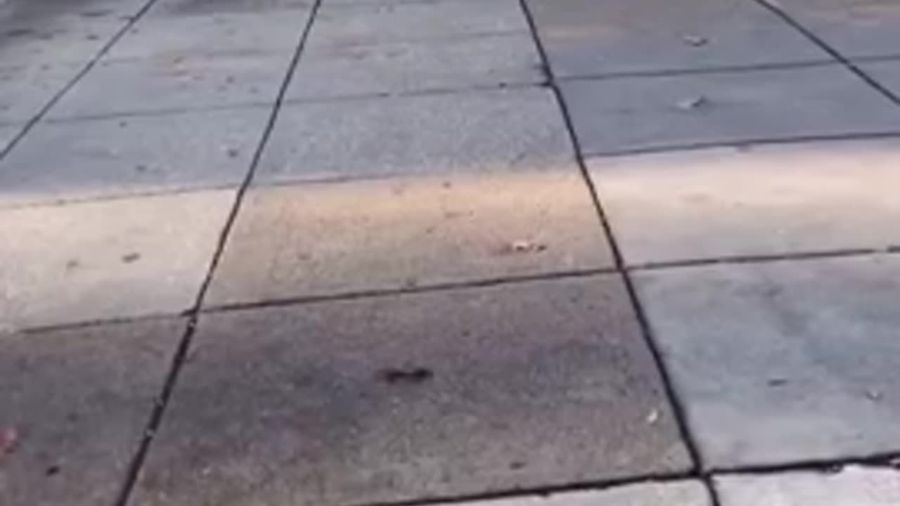 Another angle of yesterday's national guard shooting.