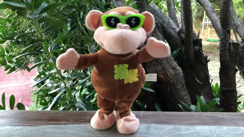 Singing Monkey