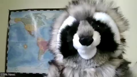 CGPA Puppet Sport Analyst Dave Clarke World Series Wrap up ( That's Baseball)...