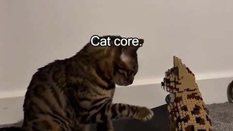 😂🐱 Cute Cat Tries to Make a New Friend! | FunFM