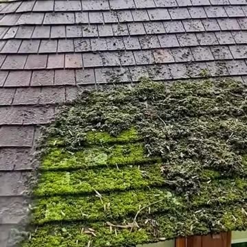 वाद के लिए कुछ न छोड़ें