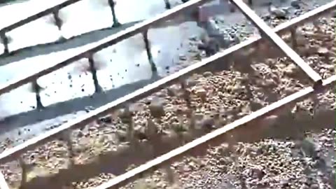 Some Amazing Moments