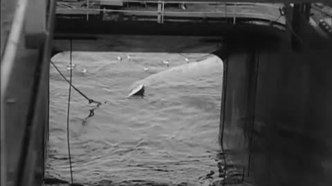JAPANESE WHALING EXPEDITION IN ANTARCTIC - JAPANESE WHALING EXPEDITION IN ANTARCTIC - 111-adc-7143