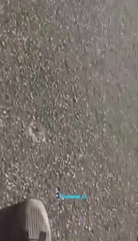 How to disarm and subdue a sheboon with a handgun